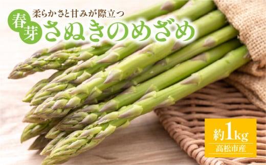 柔らかさと甘みが際立つ さぬきのめざめ春芽 約1kg【2025-3月上旬～2025-4月下旬配送】