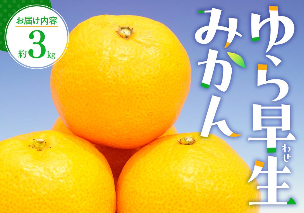 ＼寄附額改定／ゆら 早生 みかん 約3kg【2024-9月下旬～2024-11月上旬配送】