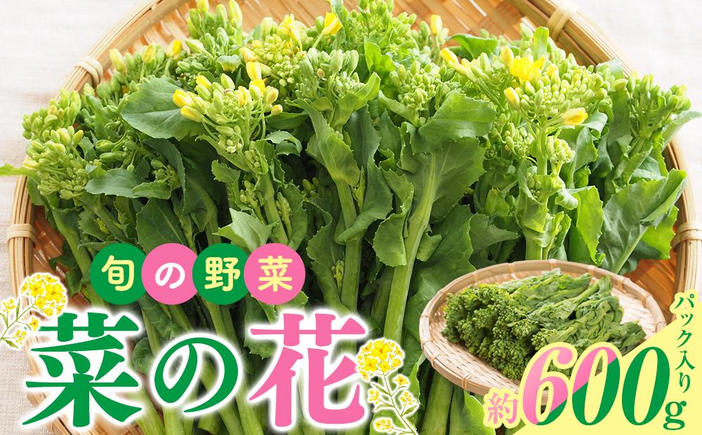 旬の野菜 菜の花 (パック入り) 約600g【2024-12月上旬～2025-3月下旬配送】