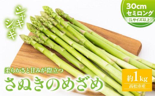 柔らかさと甘みが際立つ さぬきのめざめセミロング30cm(Lサイズ以上) 約1kg【2025-3月上旬～2025-6月下旬配送】