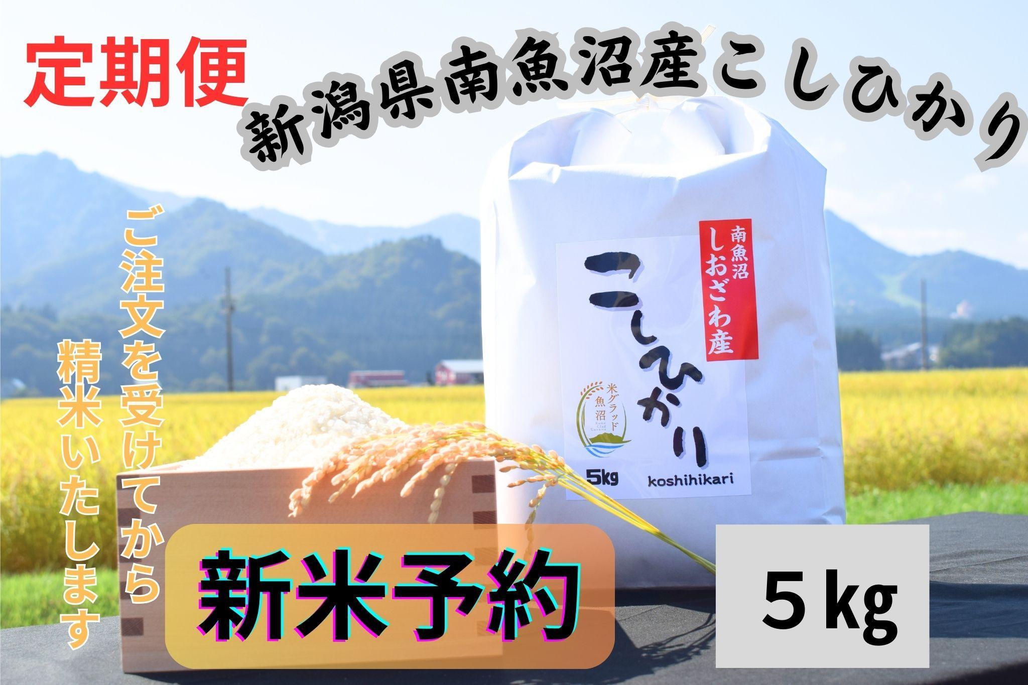 【令和7年産・新米予約・定期便】新潟県南魚沼市の豊かな自然が育んだ、極上のコシヒカリ　5kg×6か月【2025年10月上旬より順次発送予定】