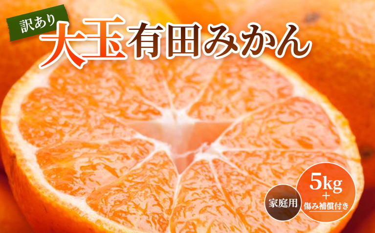 ［先行予約］家庭用&nbsp;大きな有田みかん5kg+250g（傷み補償分）［2026年11月中旬から2027年1月末日頃、順次発送予定］［IKE244］