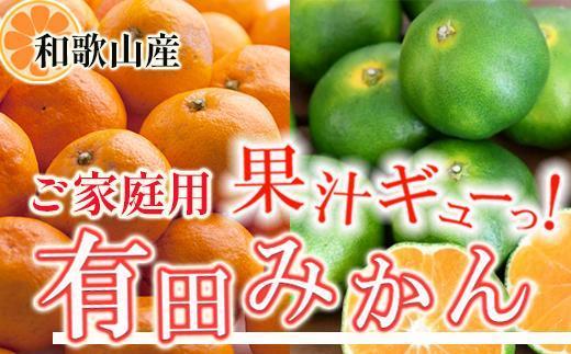 家庭用 有田みかん2.5kg+250g（傷み補償分）［2025年10月上旬から2026年1月下旬頃順次発送予定］［IKE248］