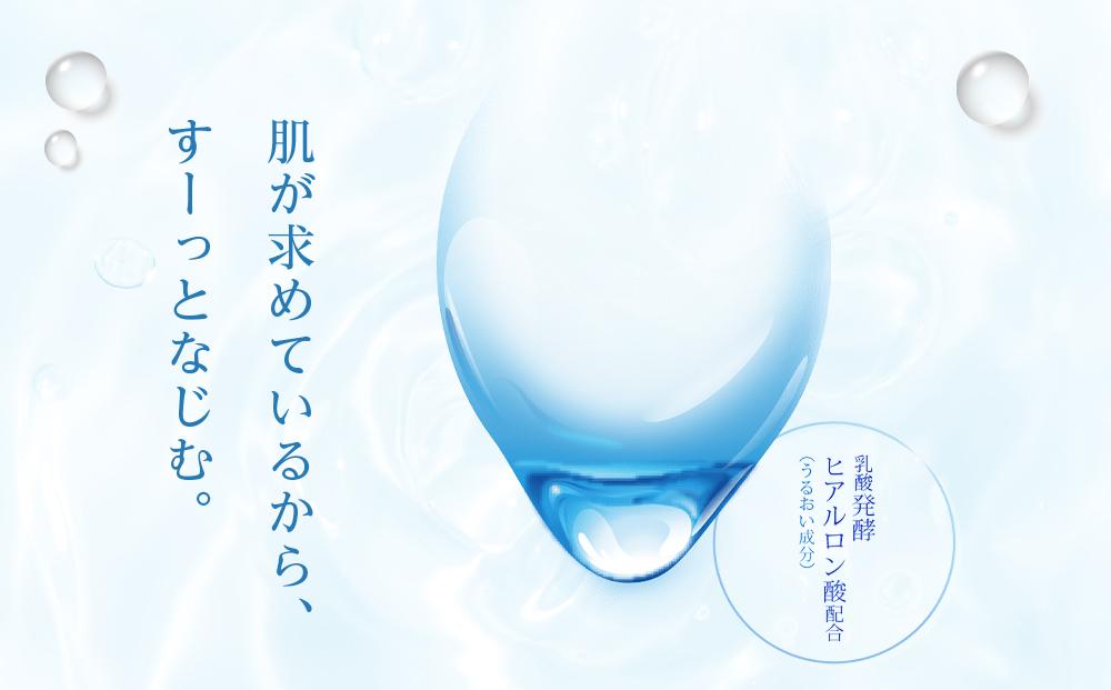 ロート製薬【肌ラボ 極潤】化粧水＋乳液4点セット（各ボトル＋つめかえ用） | JTBのふるさと納税サイト [ふるぽ]