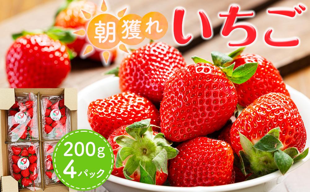 あいのまち相生市産　朝獲れいちご　200g×4パック