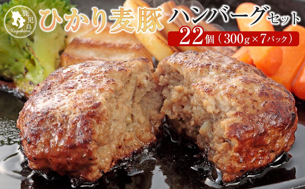 ひかり麦豚　ハンバーグセット サイズ違い 22個 ( 300g × 7パック )