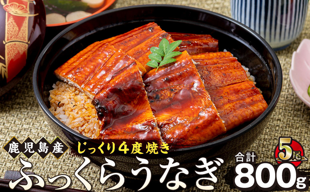 うなぎ&nbsp;蒲焼&nbsp;160g×5尾【鹿児島産】地下水で育てた絶品鰻