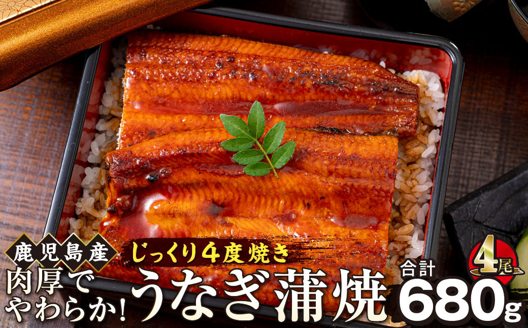 うなぎ&nbsp;蒲焼&nbsp;170g×4尾【鹿児島産】地下水で育てた絶品鰻
