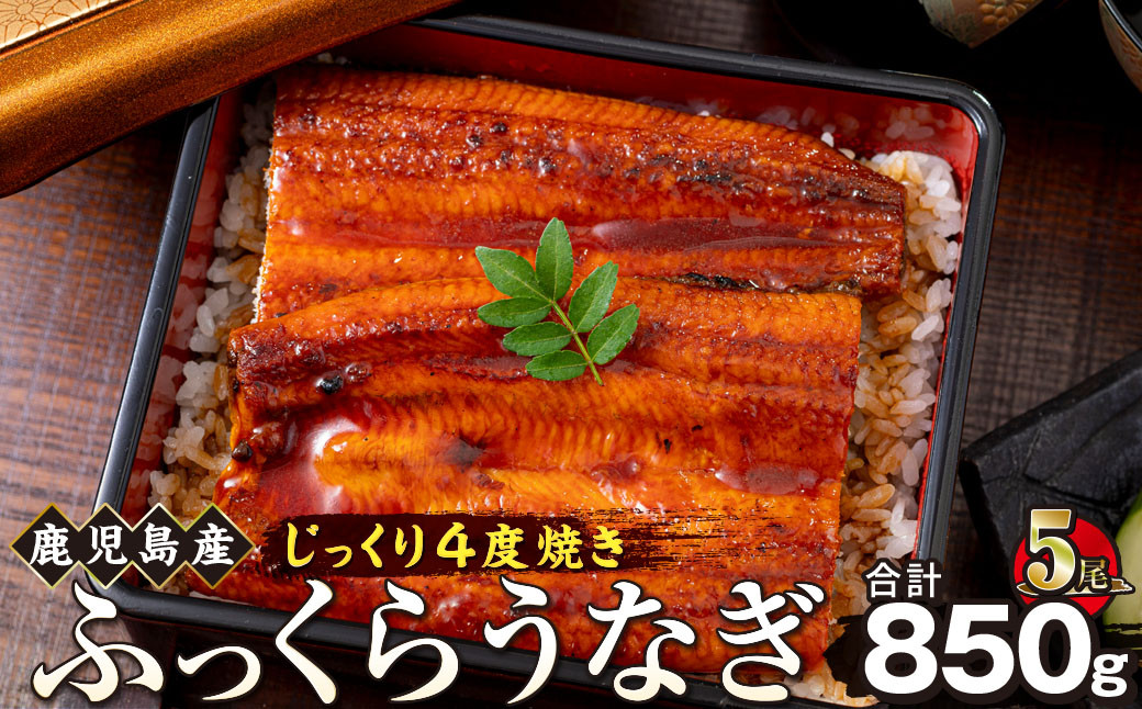 うなぎ&nbsp;蒲焼&nbsp;170g×5尾【鹿児島産】地下水で育てた絶品鰻