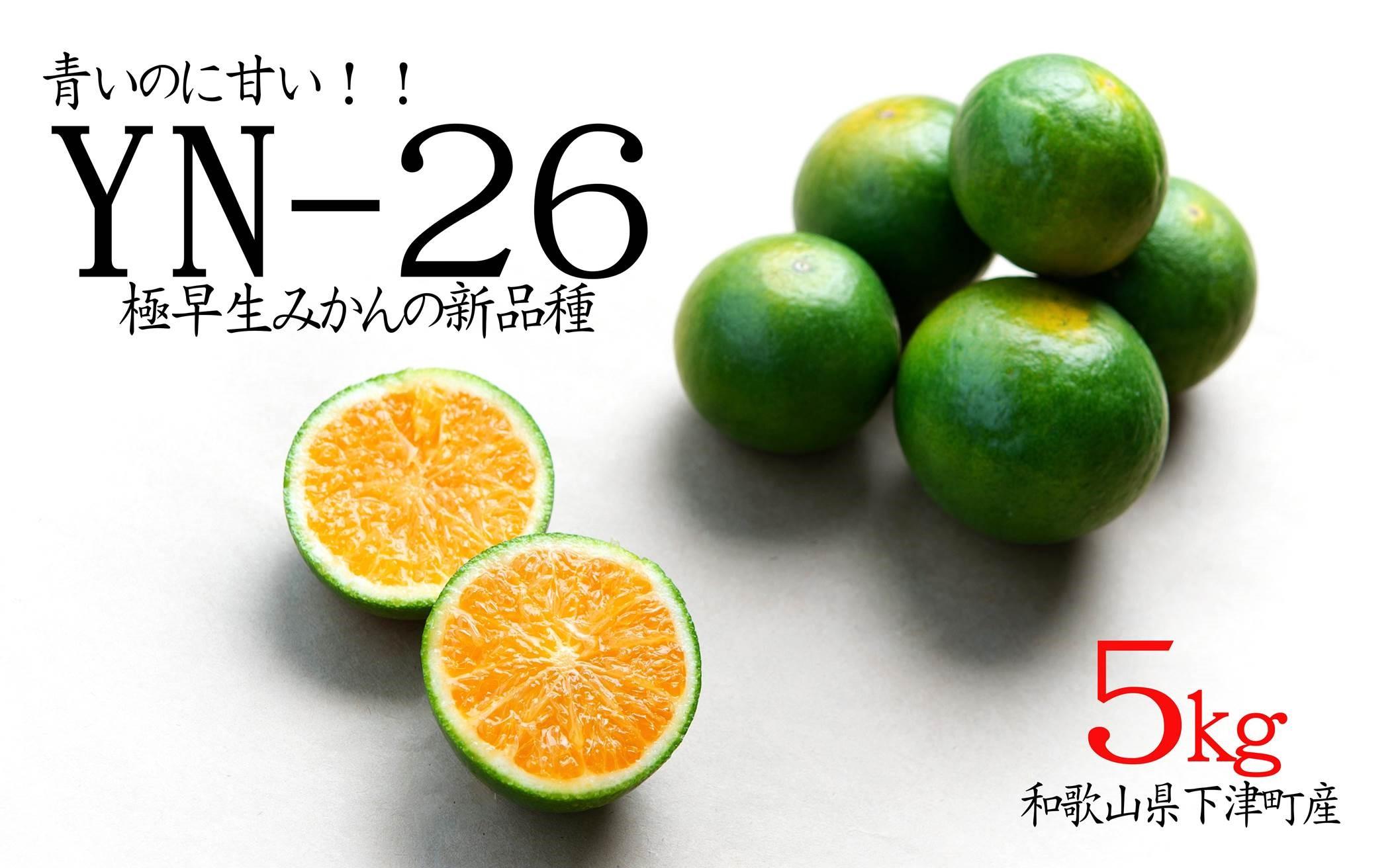 極早生みかん YN26 5kg（小粒2S-3S）《ご家庭用》9月中旬よりお届け 和歌山県より農園直送！まごころ産直みかん【北海道・沖縄県・一部離島 配送不可】小玉 訳あり わけあり