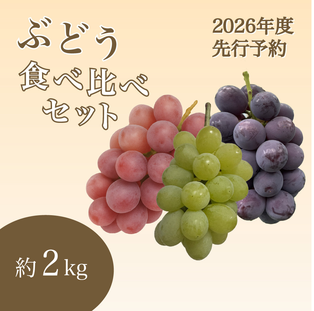 【2026年度_先行予約】【ご家庭用】ぶどう食べ比べセット&nbsp;約2kg〔2026年8月中旬より順次発送〕
