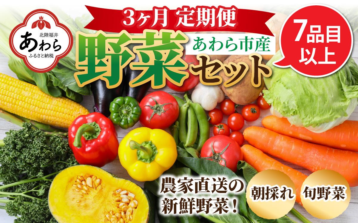 【3ヶ月連続お届け】農家直送 旬の野菜セット 7品目以上 1箱 ／ 定期便 3回 季節 野菜 ボックス BOX セット セレクト 農家 おまかせ 多品目 旬 詰め合わせ 根菜 葉物