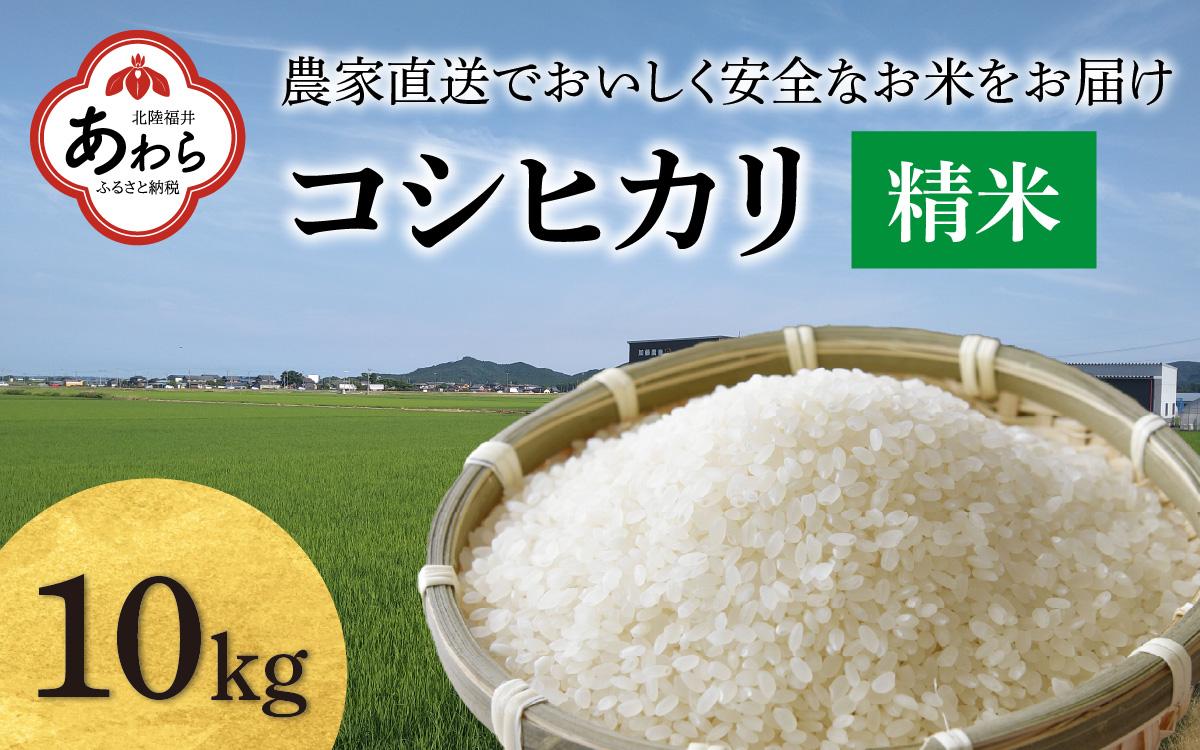 【先行予約】【令和6年産】コシヒカリ 精米 10kg（5kg×2袋）JGAP認証米 / 一等米 福井県産 ブランド米 ご飯 白米 お米 コメ 新鮮 小分け 新米 ※2024年9月下旬より順次発送