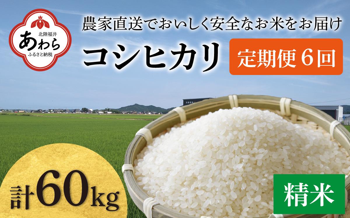 【先行予約】【令和6年産】《定期便6回》コシヒカリ 精米 10kg（5kg×2袋) JGAP認証米 / 一等米 福井県産 ブランド米 ご飯 白米 お米 コメ 新鮮 小分け 定期便 6回 新米 ※2024年9月下旬より順次発送