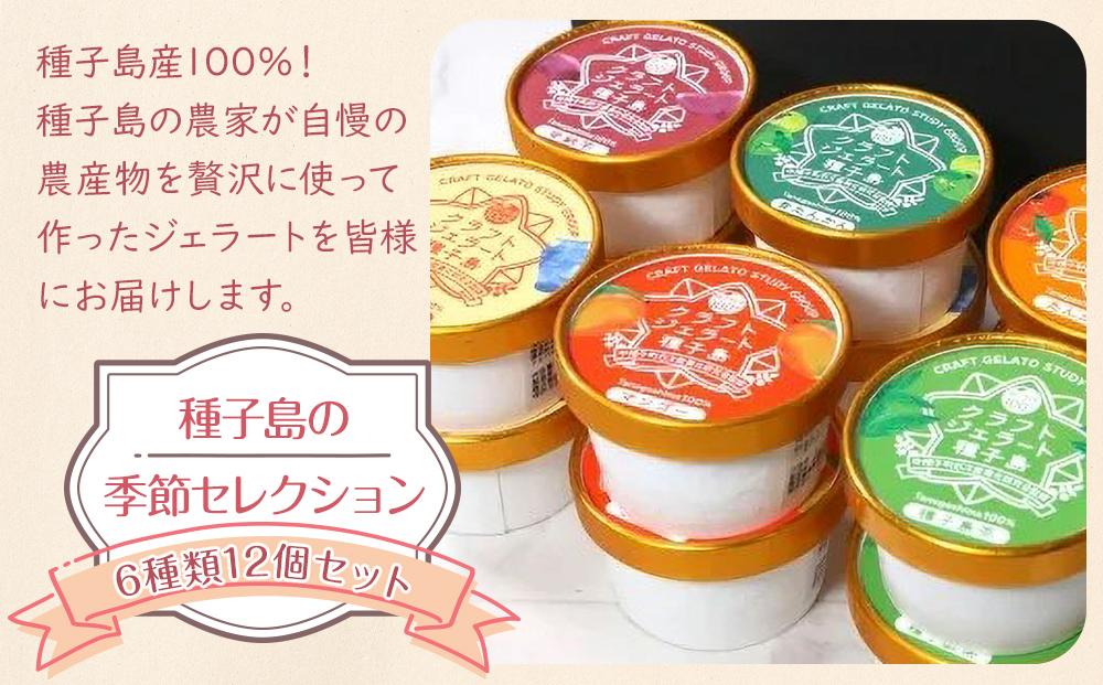 季節セレクション＞クラフトジェラート種子島(計12個・6種(各90ml)×各2