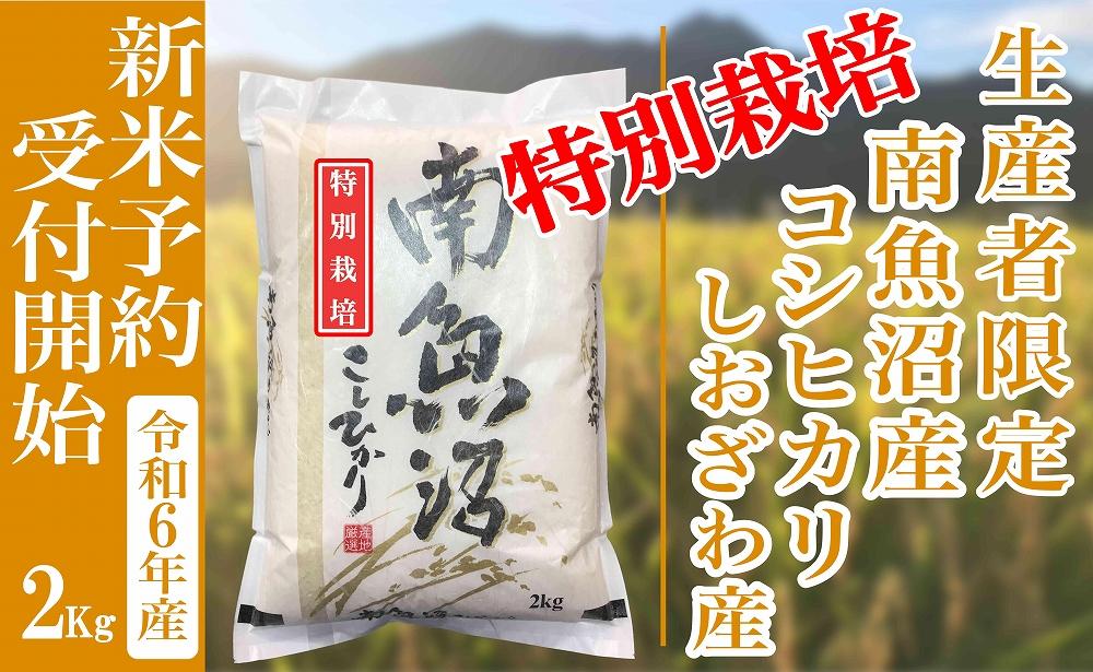 【新米予約・令和6年産】精米２Kg 【特別栽培】生産者限定 南魚沼しおざわ産コシヒカリ