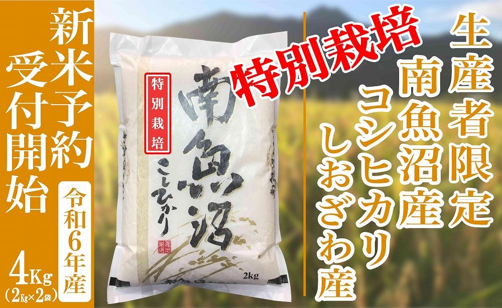 【新米予約・令和6年産】精米４Kg 【特別栽培】生産者限定 南魚沼しおざわ産コシヒカリ