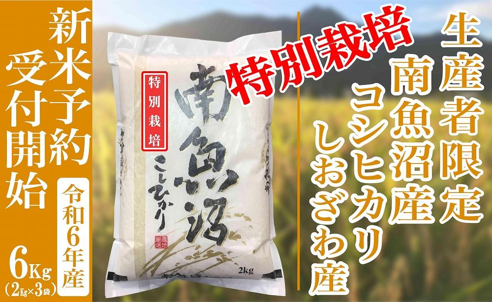 【新米予約・令和6年産】精米6Kg 【特別栽培】生産者限定 南魚沼しおざわ産コシヒカリ