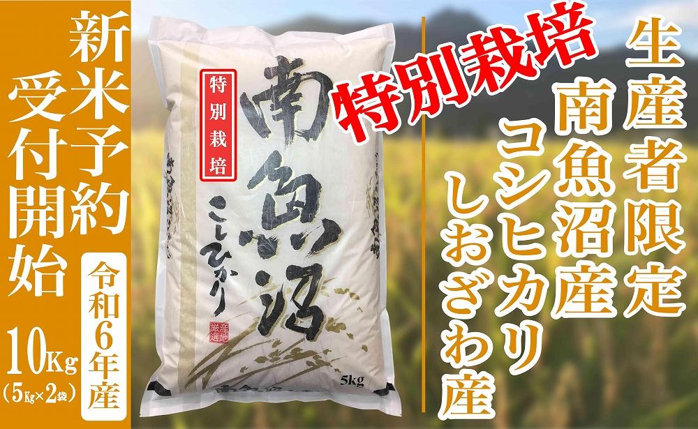 【新米予約・令和6年産】精米10Kg 【特別栽培】生産者限定 南魚沼しおざわ産コシヒカリ