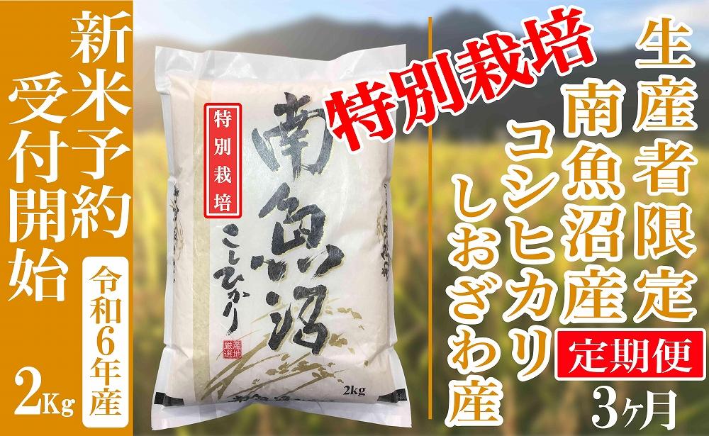 【新米予約・令和6年産】定期便３ヶ月：精米２Kg【特別栽培】生産者限定 南魚沼しおざわ産コシヒカリ