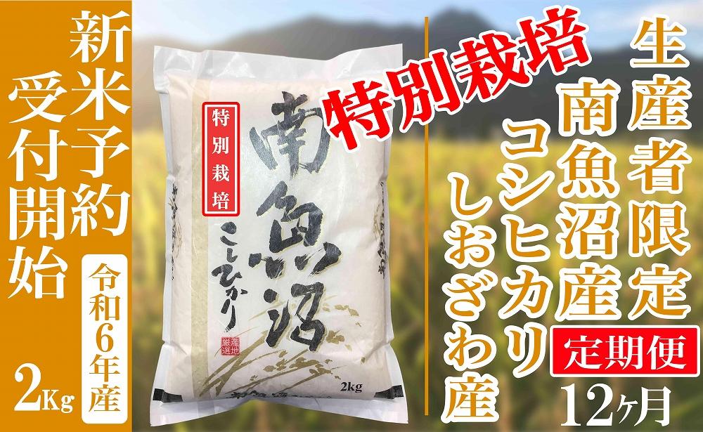 【新米予約・令和6年産】定期便12ヶ月：精米２Kg 【特別栽培】生産者限定 南魚沼しおざわ産コシヒカリ