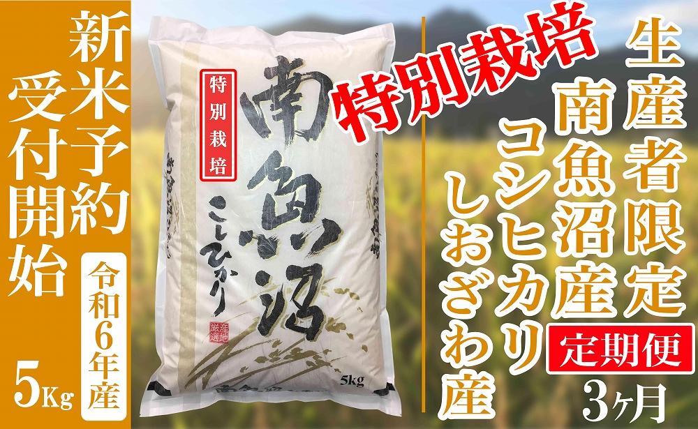 【新米予約・令和6年産】定期便３ヶ月：精米５Kg 【特別栽培】生産者限定 南魚沼しおざわ産コシヒカリ