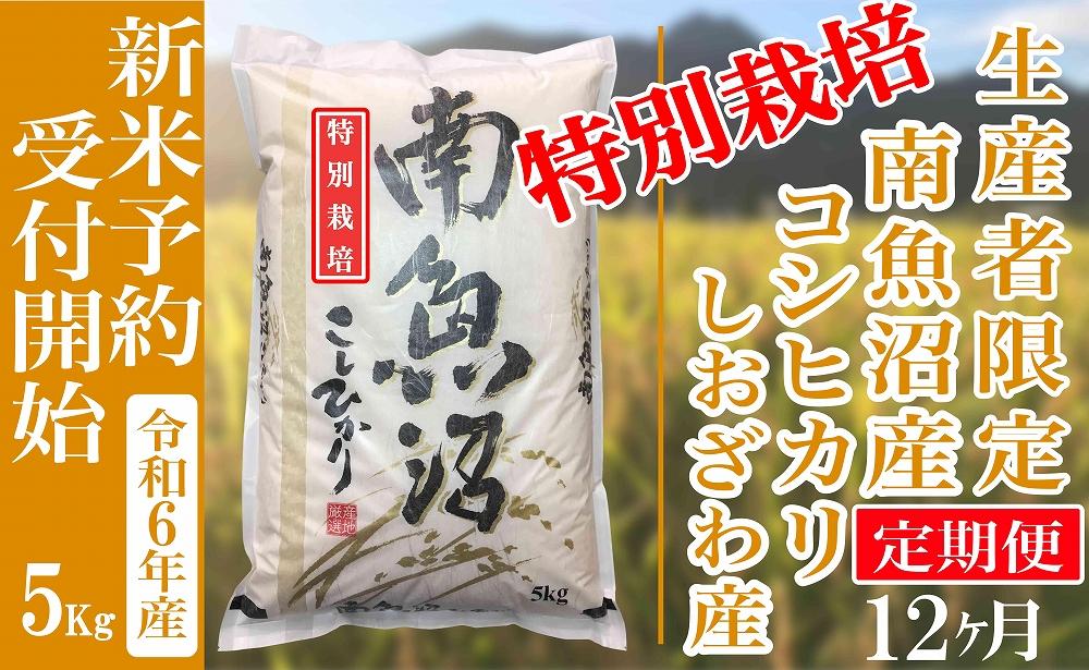 【新米予約・令和6年産】定期便12ヶ月：精米５Kg 【特別栽培】生産者限定 南魚沼しおざわ産コシヒカリ