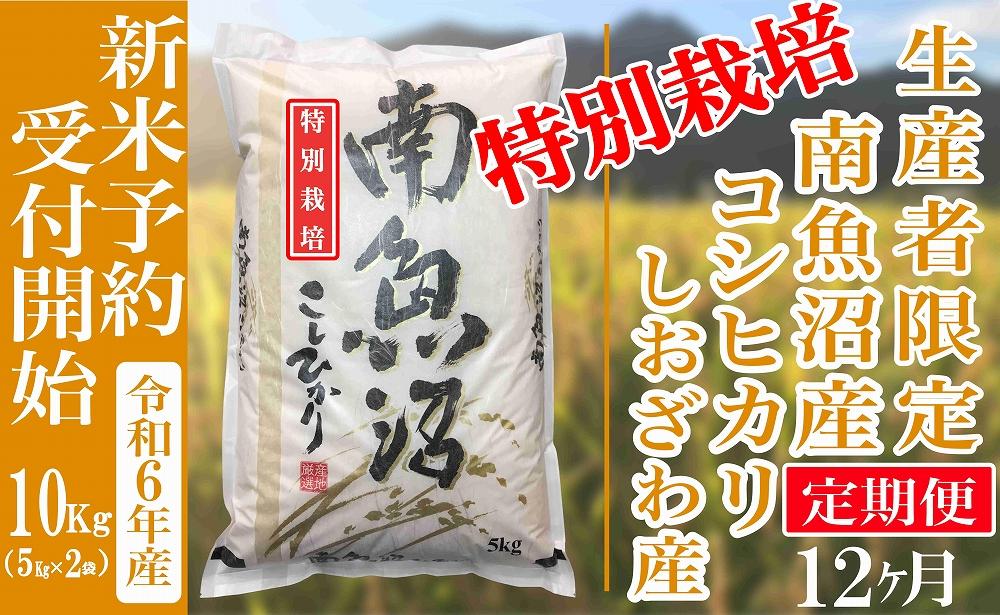 【新米予約・令和6年産】定期便12ヶ月：精米10Kg【特別栽培】 生産者限定 南魚沼しおざわ産コシヒカリ