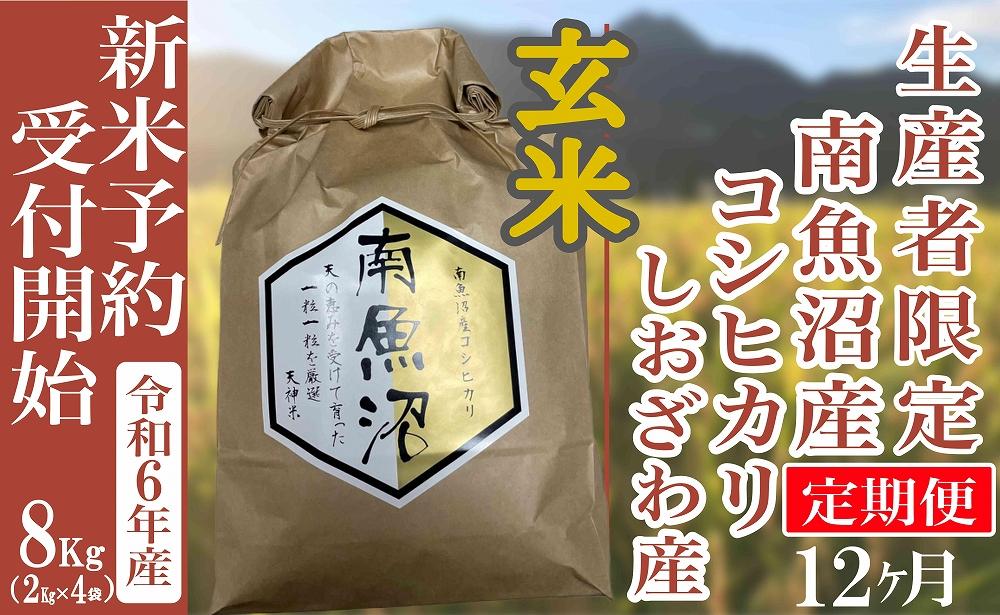 【新米予約・令和6年産】定期便12ヶ月：玄米８Kg 生産者限定 南魚沼しおざわ産コシヒカリ