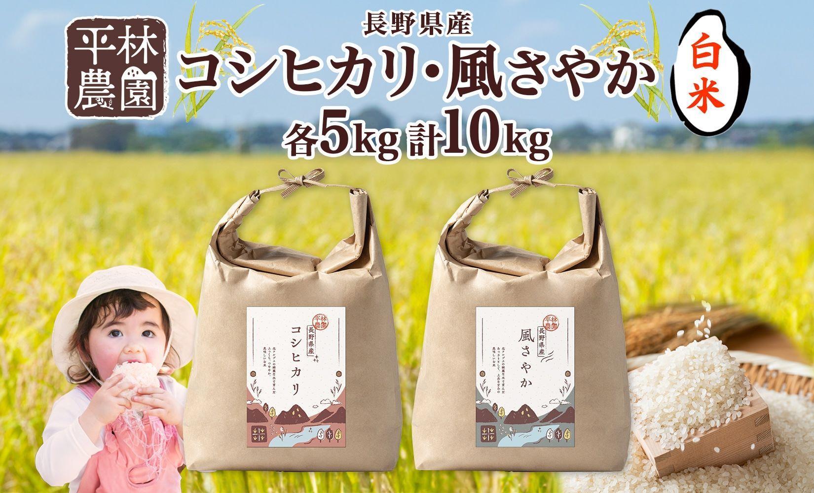 令和6年産 コシヒカリ 風さやか 白米 各5kg 長野県産 米 精米 お米 ごはん ライス 甘み 農家直送 産直 信州 人気 ギフト お取り寄せ 平林農園 送料無料 長野県 大町市