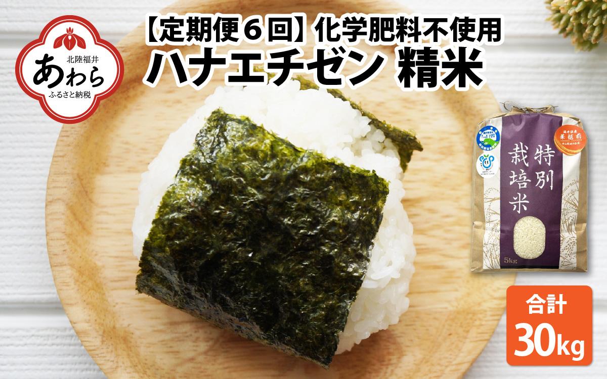 【令和6年産】【定期便6回】 化学肥料不使用ハナエチゼン 精米 5kg×6回（計30kg） / 米 白米 福井県あわら市産 ブランド米 美味しい 特別栽培米  安心な米 旨味 甘み エコファーマー 冷蔵保管米 新米