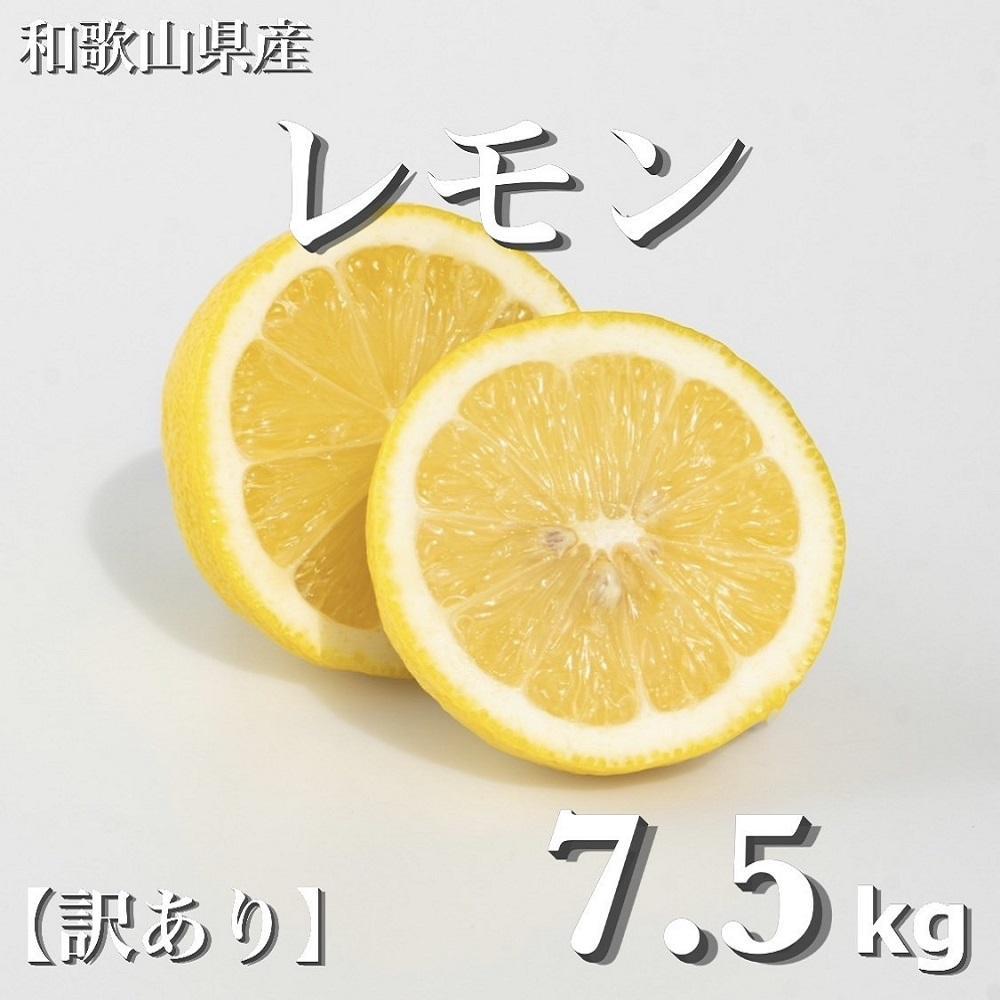 和歌山産 レモン 7.5kg  【訳あり】 【US2】