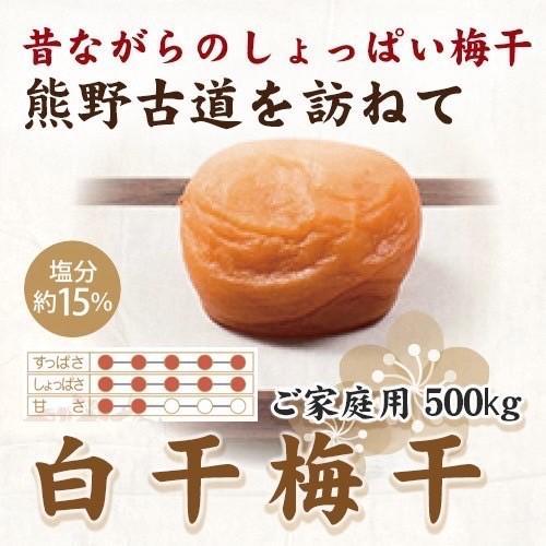 【ご家庭用】紀州南高梅 白干梅干し 500g 【US34】【準備でき次第、順次発送】