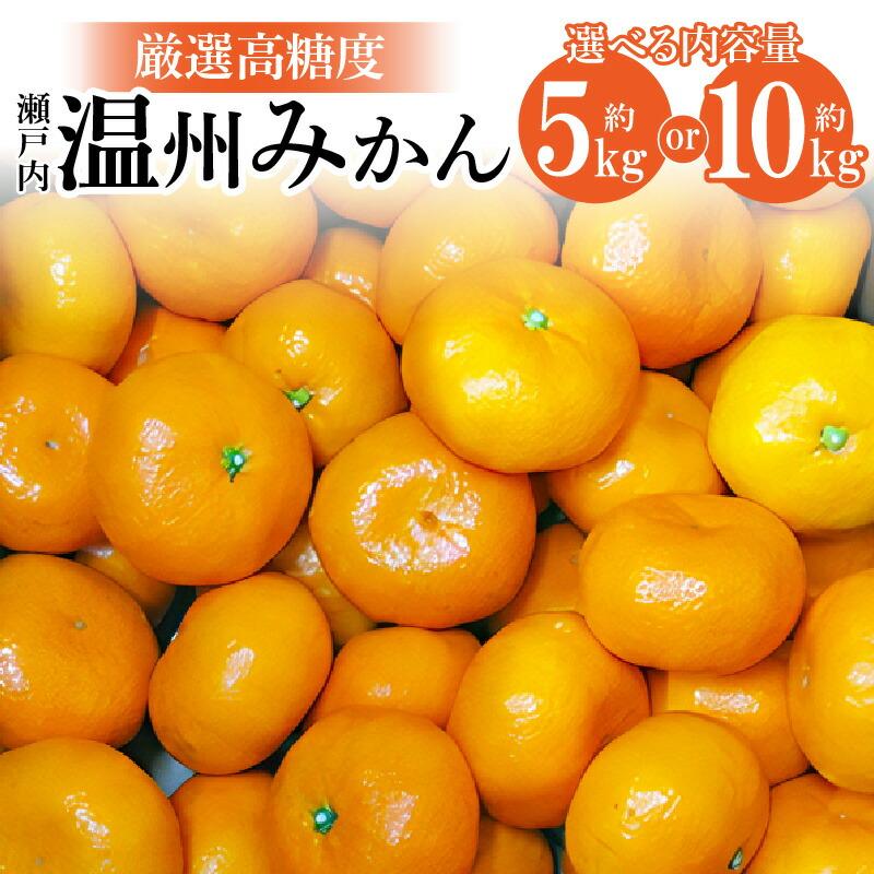 内容量が選べる&nbsp;瀬戸内温州みかん　厳選高糖度【2026年10月上旬～2027年1月中旬配送】