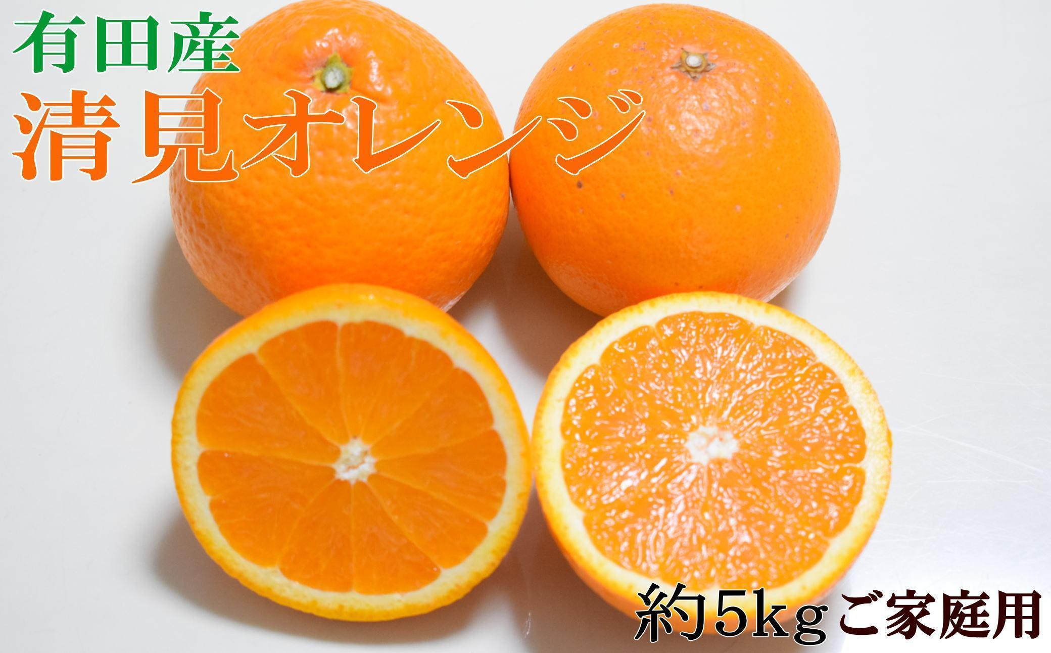 【濃厚】有田産清見オレンジ約5kg（サイズおまかせ・ご家庭用）★2025年2月下旬頃より順次発送【TM151】