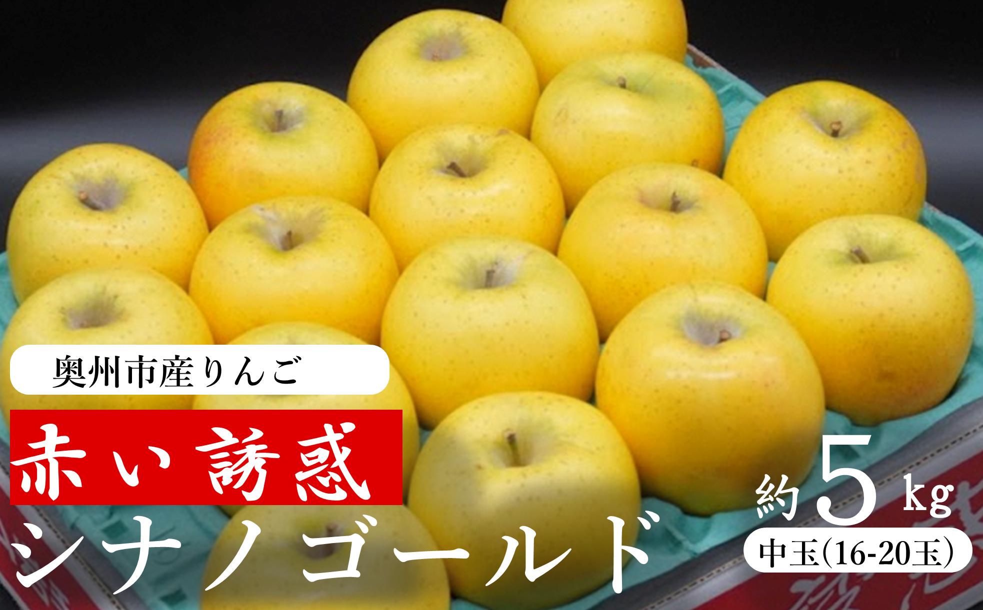 奥州市産りんご  赤い誘惑「シナノゴールド」約5kg　16－20玉 JA岩手ふるさと