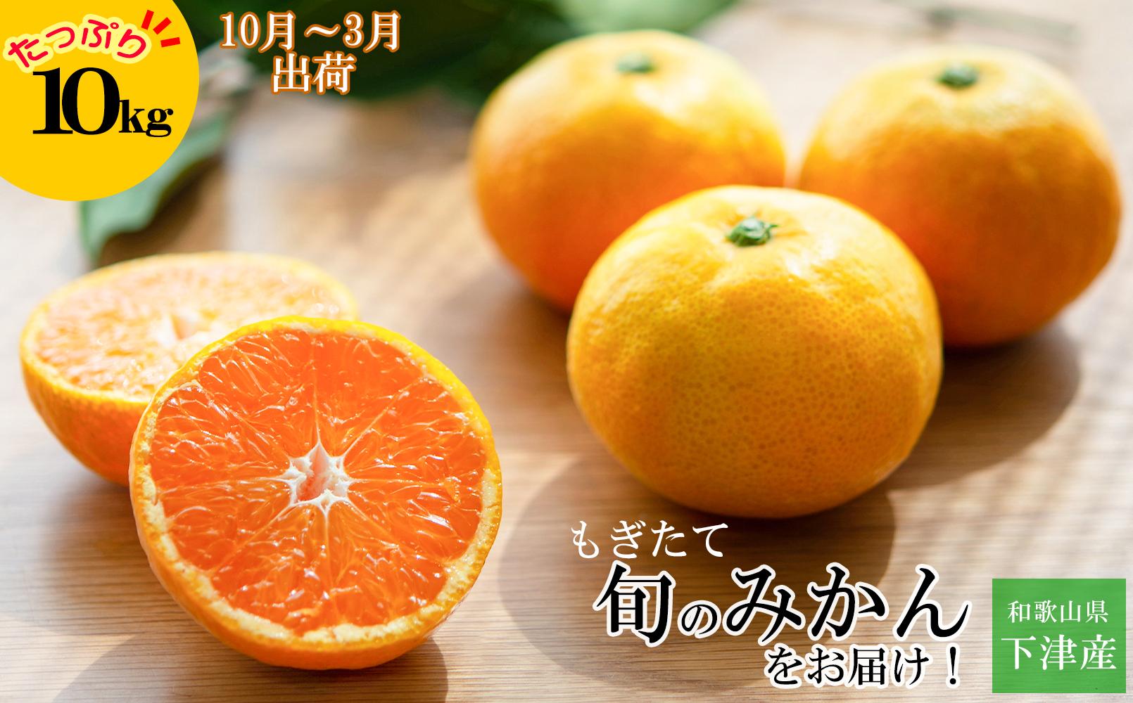 みかん&nbsp;約10kg&nbsp;大小混合サイズ&nbsp;《ご家庭用》&nbsp;和歌山県産&nbsp;農園直送&nbsp;まごころ産直みかん&nbsp;【10月中旬から3月上旬頃まで順次発送】【北海道・沖縄県・一部離島&nbsp;配送不可】訳あり&nbsp;和歌山のみかん
