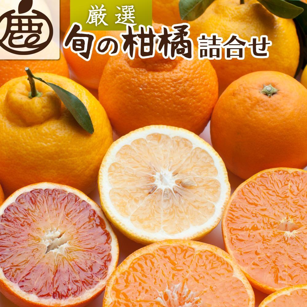 ＜1月上旬～4月下旬発送＞厳選 柑橘詰合せ約2kg+60g（傷み補償分）【有田の春みかん詰め合わせ・フルーツ詰め合せ・オレンジつめあわせ】【光センサー選別】