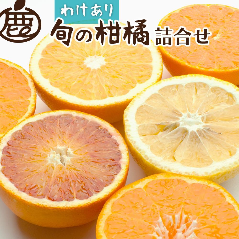 ＜1月上旬～4月下旬発送＞【家庭用】柑橘詰合せ約7kg+210g（傷み補償分）【訳あり・わけあり】【有田の春みかん詰め合わせ・フルーツ詰め合せ・オレンジつめあわせ】【光センサー選別】