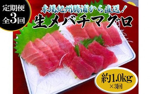 【定期便全3回】生まぐろの本場紀州勝浦から直送！　生メバチマグロ 約1kg（1カ月に1回お届け）（全3ヵ月）