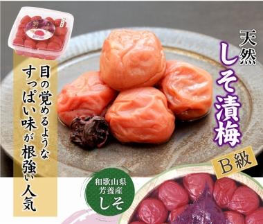 徳用　しそ漬梅 (1.5kg×1箱）【Kn9】