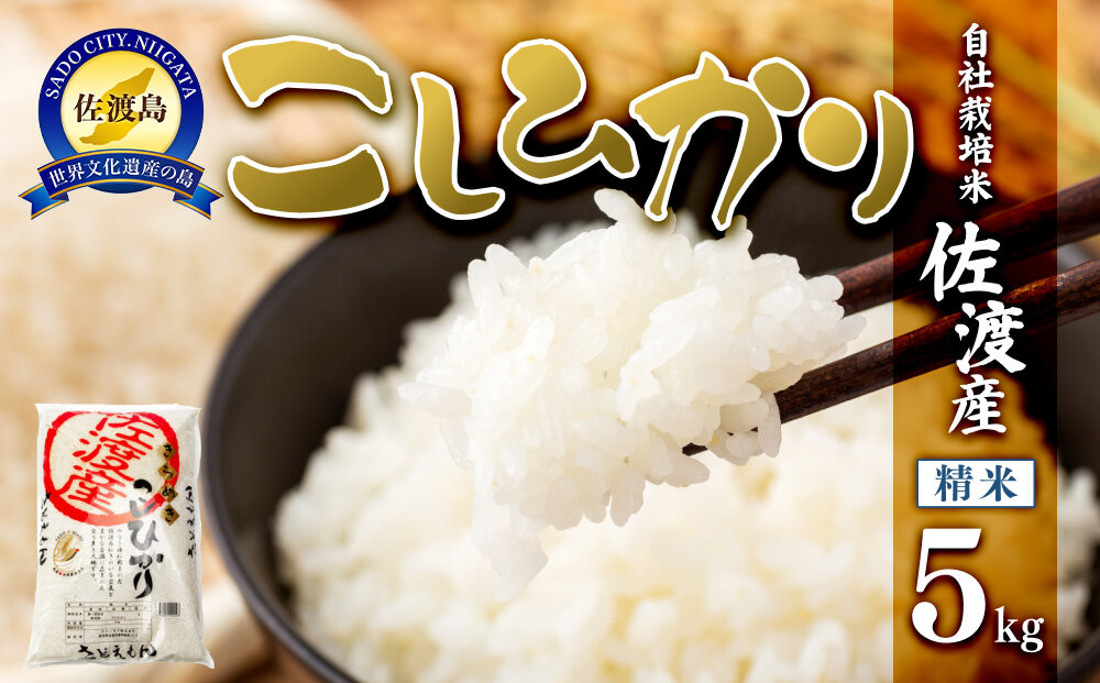 【令和7年米】自社栽培米佐渡産こしひかり（精米5kg）