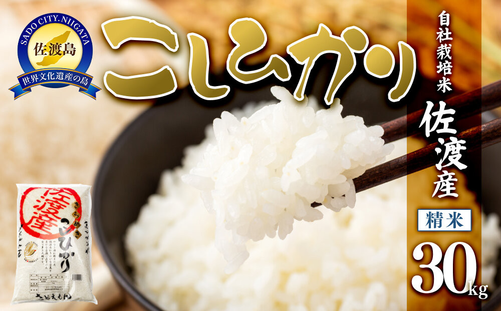 【令和7年米】自社栽培米佐渡産こしひかり（精米30kg）