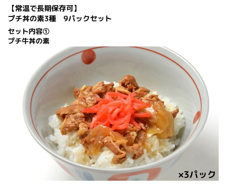 【常温で3年保存可】 プチ丼の素3種  9パックセット