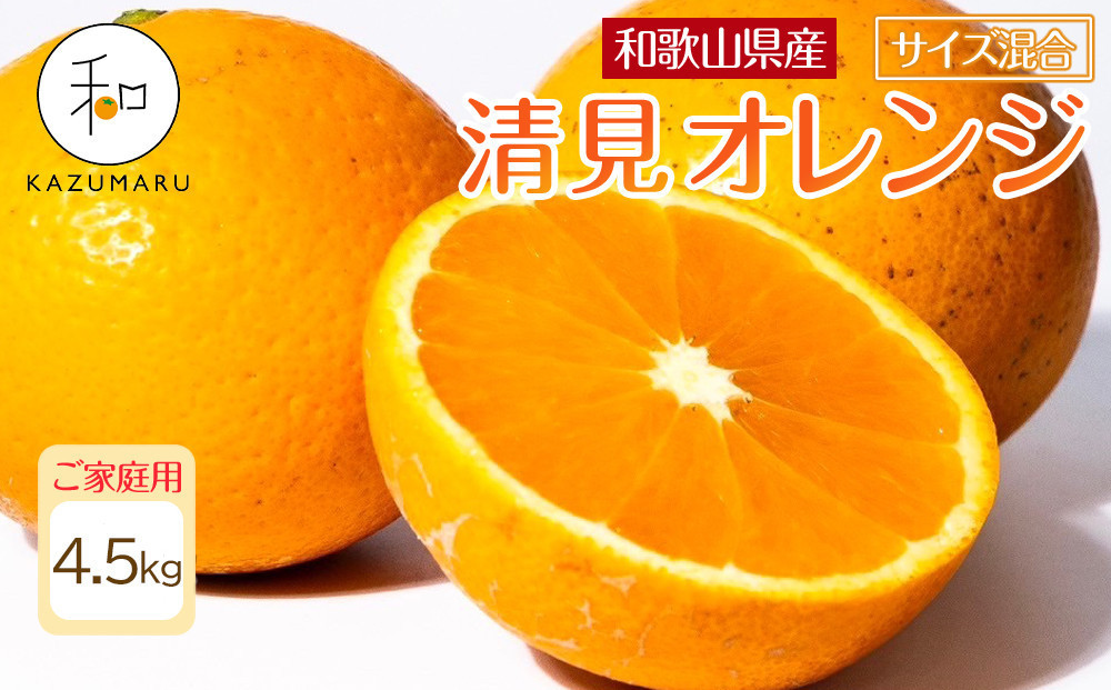 家庭用&nbsp;森本農園の手選別&nbsp;清見オレンジ&nbsp;4.5kg&nbsp;和歌山県産&nbsp;サイズ混合&nbsp;［北海道・沖縄・離島配送不可］［RN22］［2026年2月上旬から5月中旬頃順次発送予定］