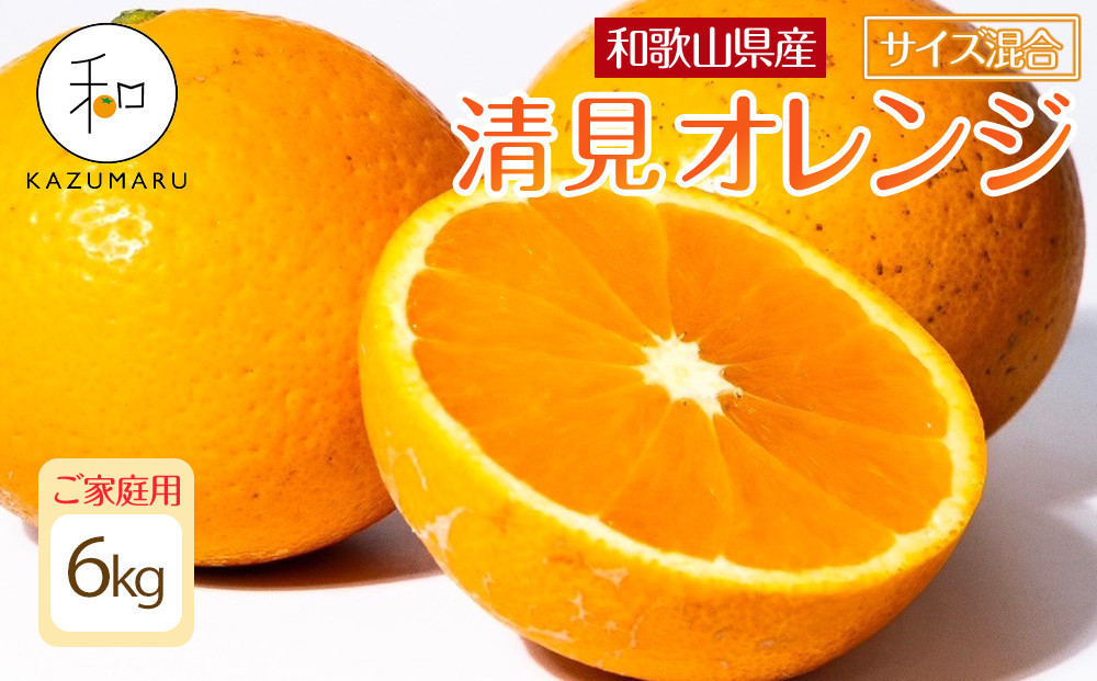 家庭用&nbsp;森本農園の手選別&nbsp;清見オレンジ&nbsp;6kg&nbsp;和歌山県産&nbsp;サイズ混合&nbsp;［北海道・沖縄・離島配送不可］［RN38］［2026年2月上旬から5月中旬頃順次発送予定］