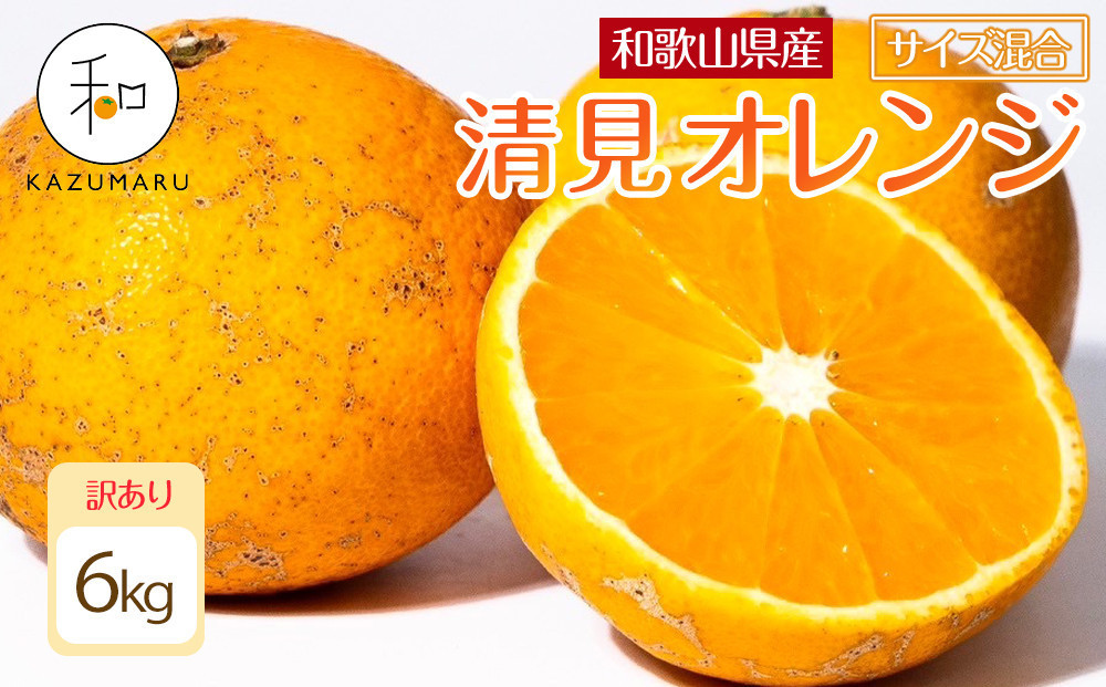 訳あり&nbsp;森本農園の手選別&nbsp;清見オレンジ&nbsp;6kg&nbsp;和歌山県産&nbsp;サイズ混合&nbsp;［北海道・沖縄・離島配送不可］［RN24］［2026年2月上旬から5月中旬頃順次発送予定］