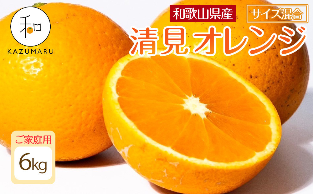 家庭用&nbsp;森本農園の手選別&nbsp;清見オレンジ&nbsp;6kg&nbsp;和歌山県産&nbsp;サイズ混合&nbsp;［北海道・沖縄・離島配送不可］［RN38］［2026年2月上旬から5月中旬頃順次発送予定］