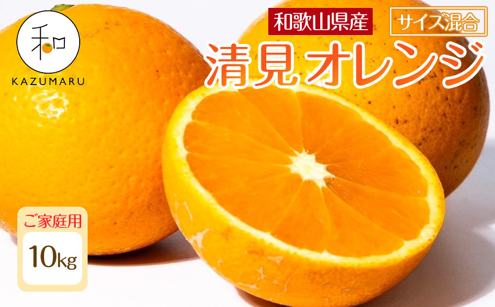 家庭用&nbsp;森本農園の手選別&nbsp;清見オレンジ&nbsp;10kg&nbsp;和歌山県産&nbsp;サイズ混合&nbsp;［北海道・沖縄・離島配送不可］［RN39］［2026年2月上旬から5月中旬頃順次発送予定］