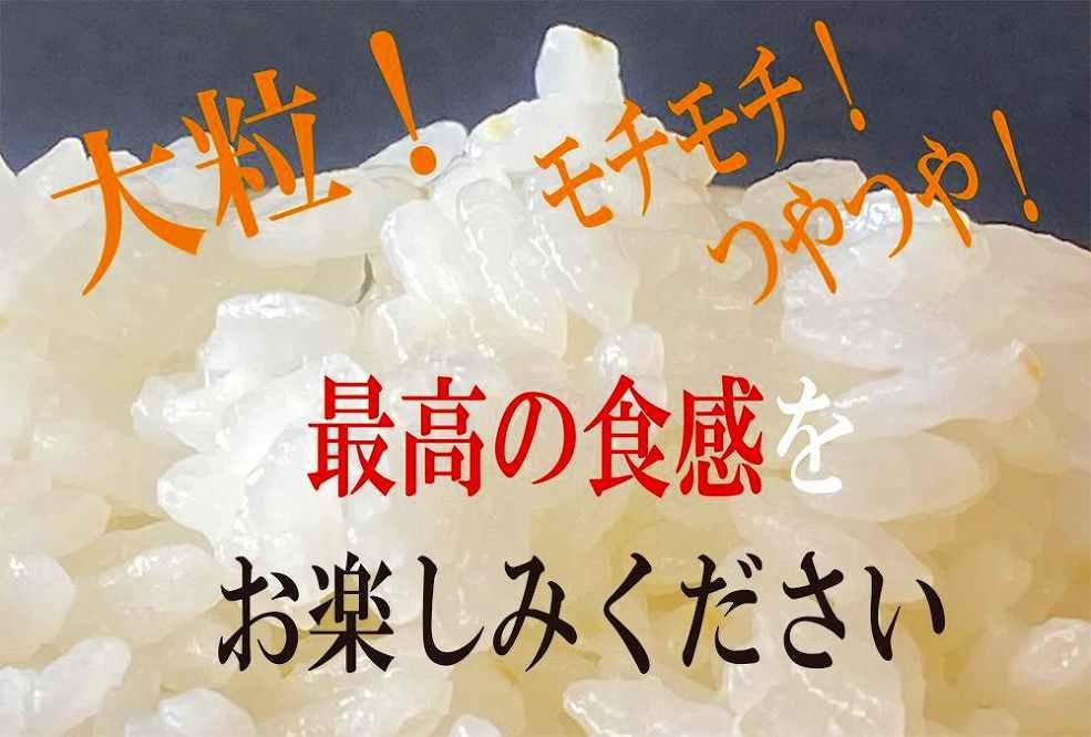 令和6年産 新米予約】伊賀米コシヒカリ特別栽培米「真米」白米10kg | JTBのふるさと納税サイト [ふるぽ]